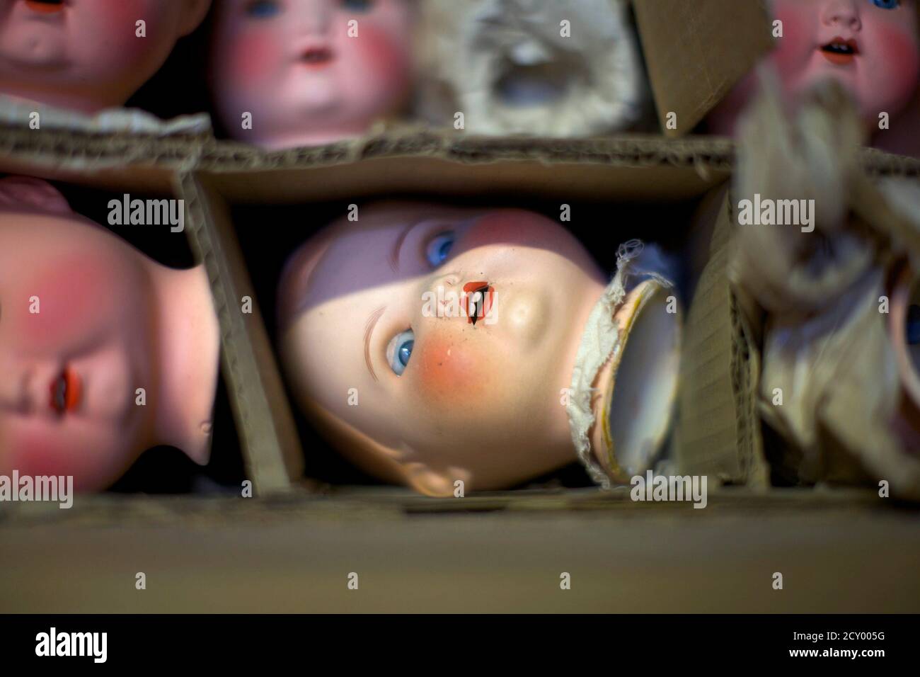 Dolls heads, to be used in future doll repairs, are pictured in storage at Sydney's Doll Hospital June 24, 2014. The Doll Hospital, a family business over 100 years old, employs a handful of skilled workers to restore and repair people's childhood treasures. In an age where plastic dolls are mass produced, few dolls hospitals around the world have survived.  Picture taken June 24, 2014.   REUTERS/Jason Reed   (AUSTRALIA - Tags: SOCIETY) Stock Photo