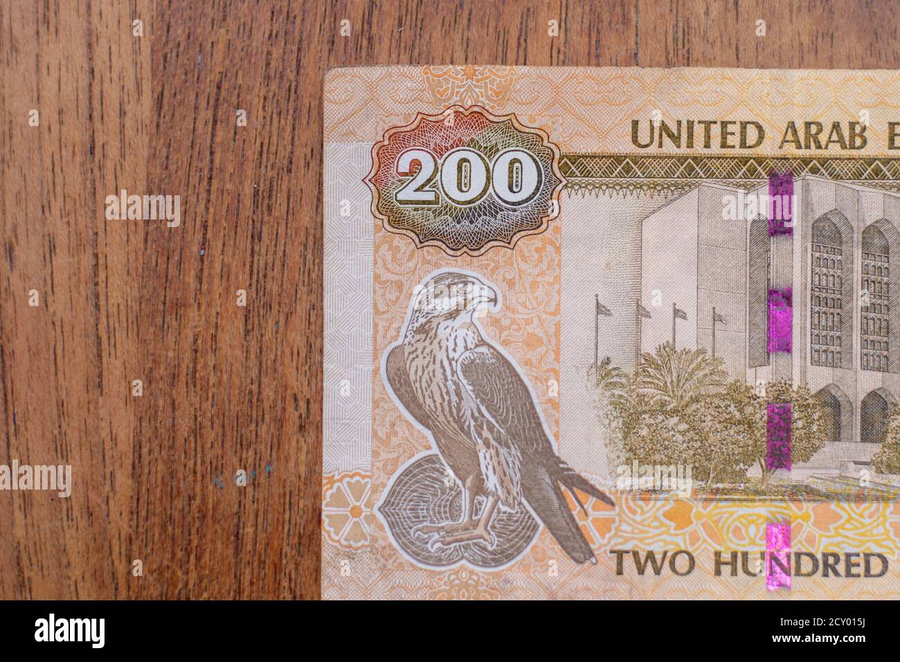 The Currency of the United Arab Emirates (UAE) Close up of a two