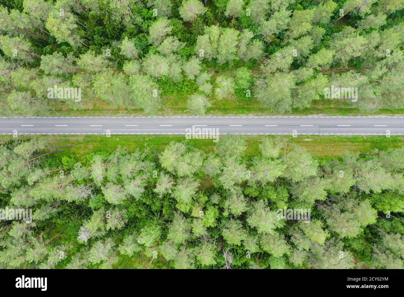 Empty straight road through the forest top down aerial view Stock Photo