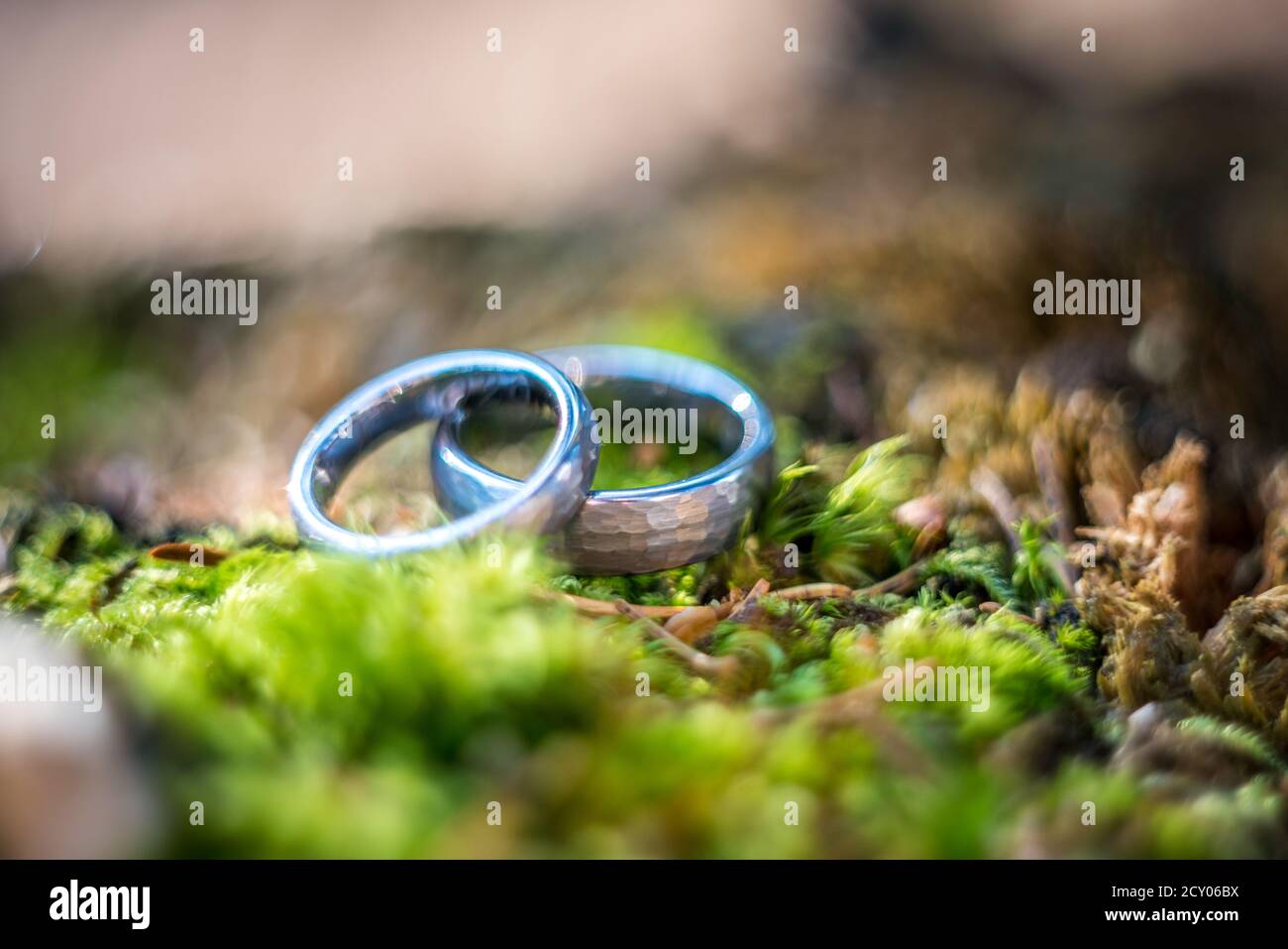 Beautiful jewel wedding rings closeup macro photography Stock Photo