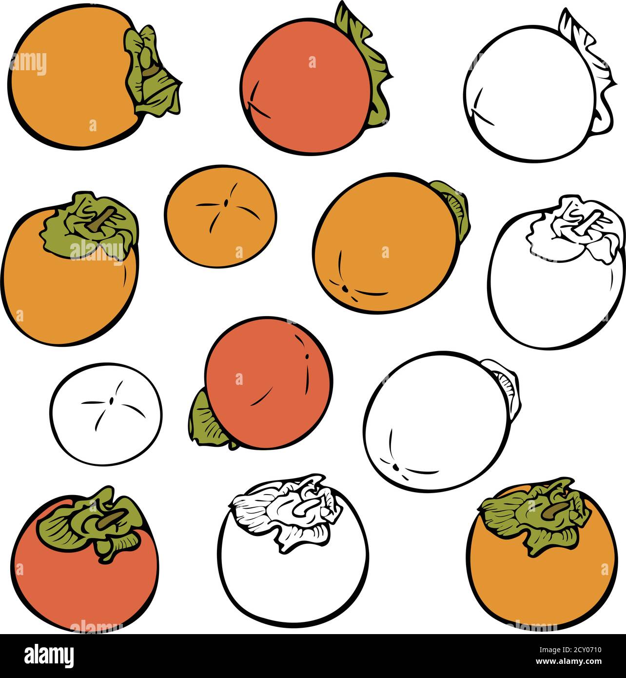 Vector set of different persimmons isolated. Ripe and silhouettes persimmons. Concept for fruit store. Stock Vector