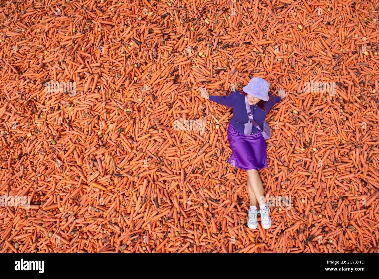 Student Lauren Gallagher with the art installation 'Grounding' by Rafael Perez Evans, which is made up of 29 tonnes of unwanted carrots ouside the Ben Pimlott building at Goldsmiths College, London. Stock Photo