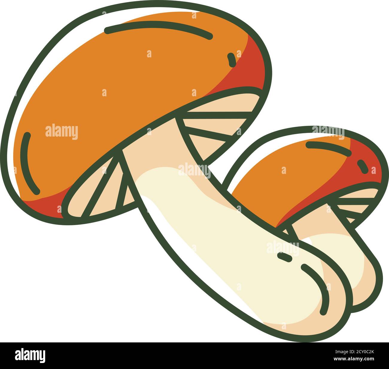 Shiitake mushrooms RGB color icon Stock Vector Image & Art Alamy