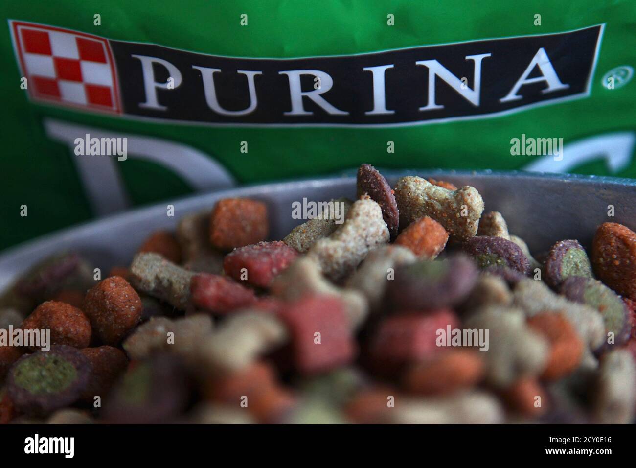 why-is-purina-bad-for-dogs