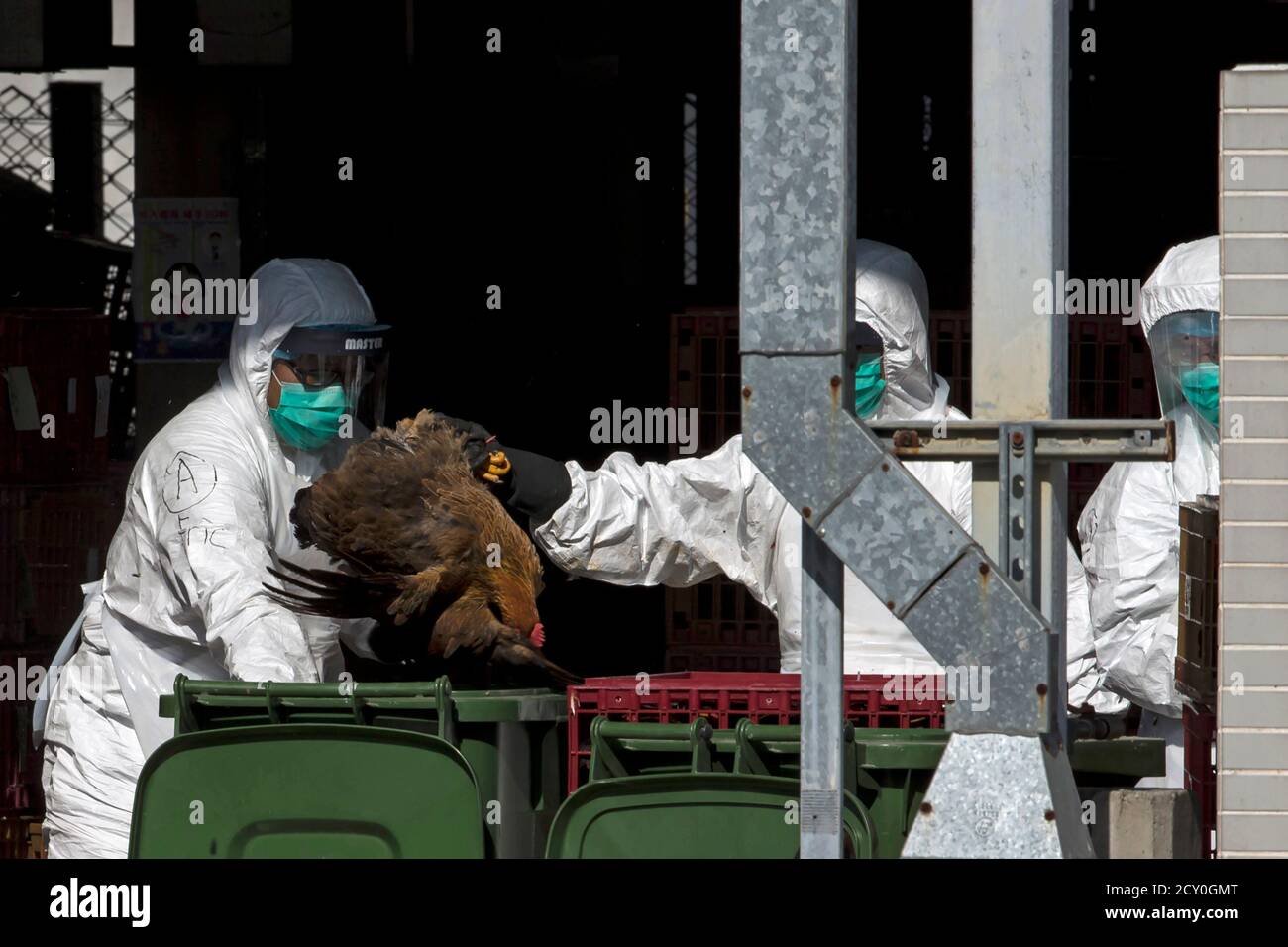 Chicken Cull High Resolution Stock Photography And Images Alamy