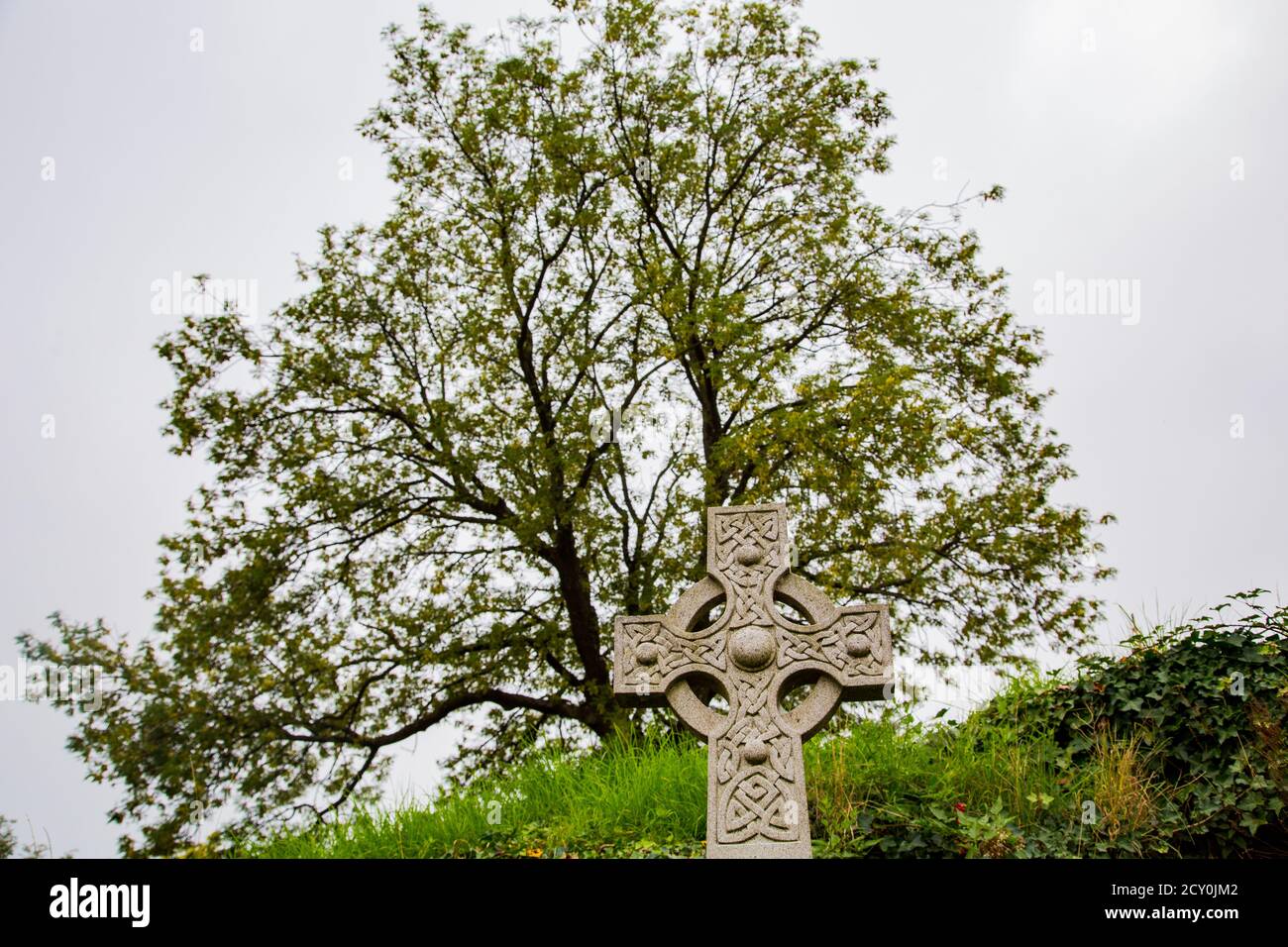 Gothic cross from front with big tree on hill Stock Photo - Alamy