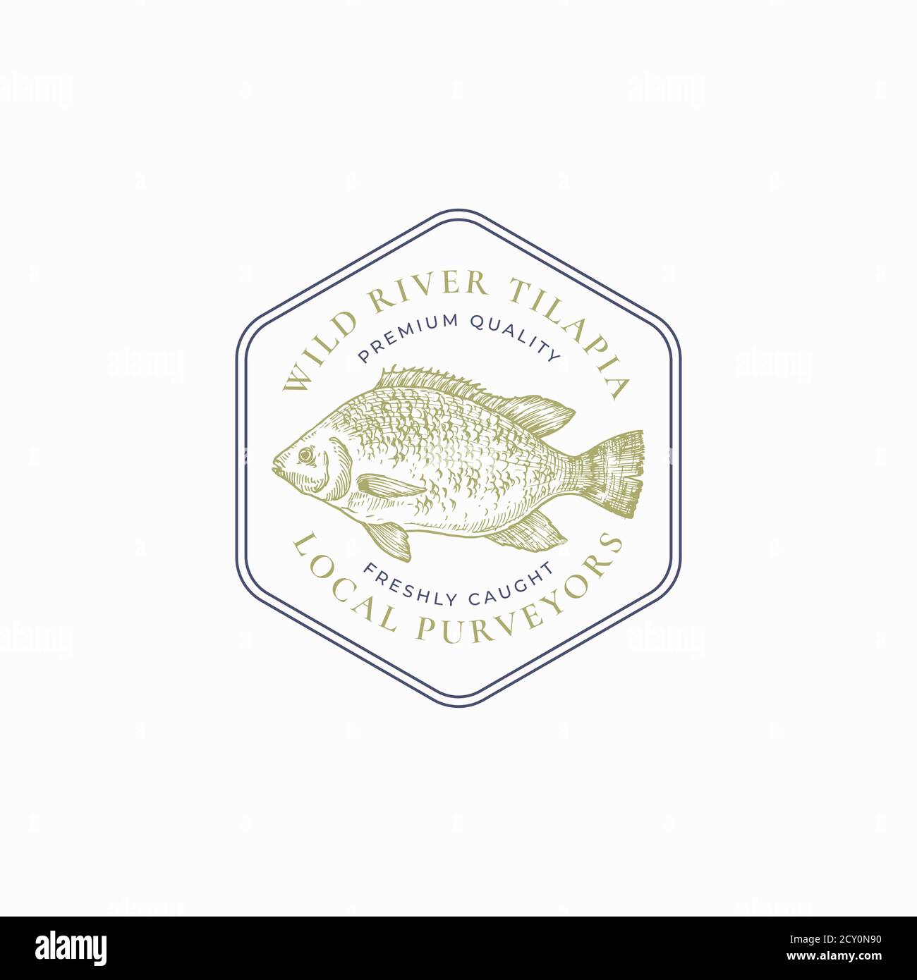 Fish Outline Engraved Seafood Bream Mackerel Tunny Sterlet Catfish Codfish  Stock Vector by ©tory 380709078