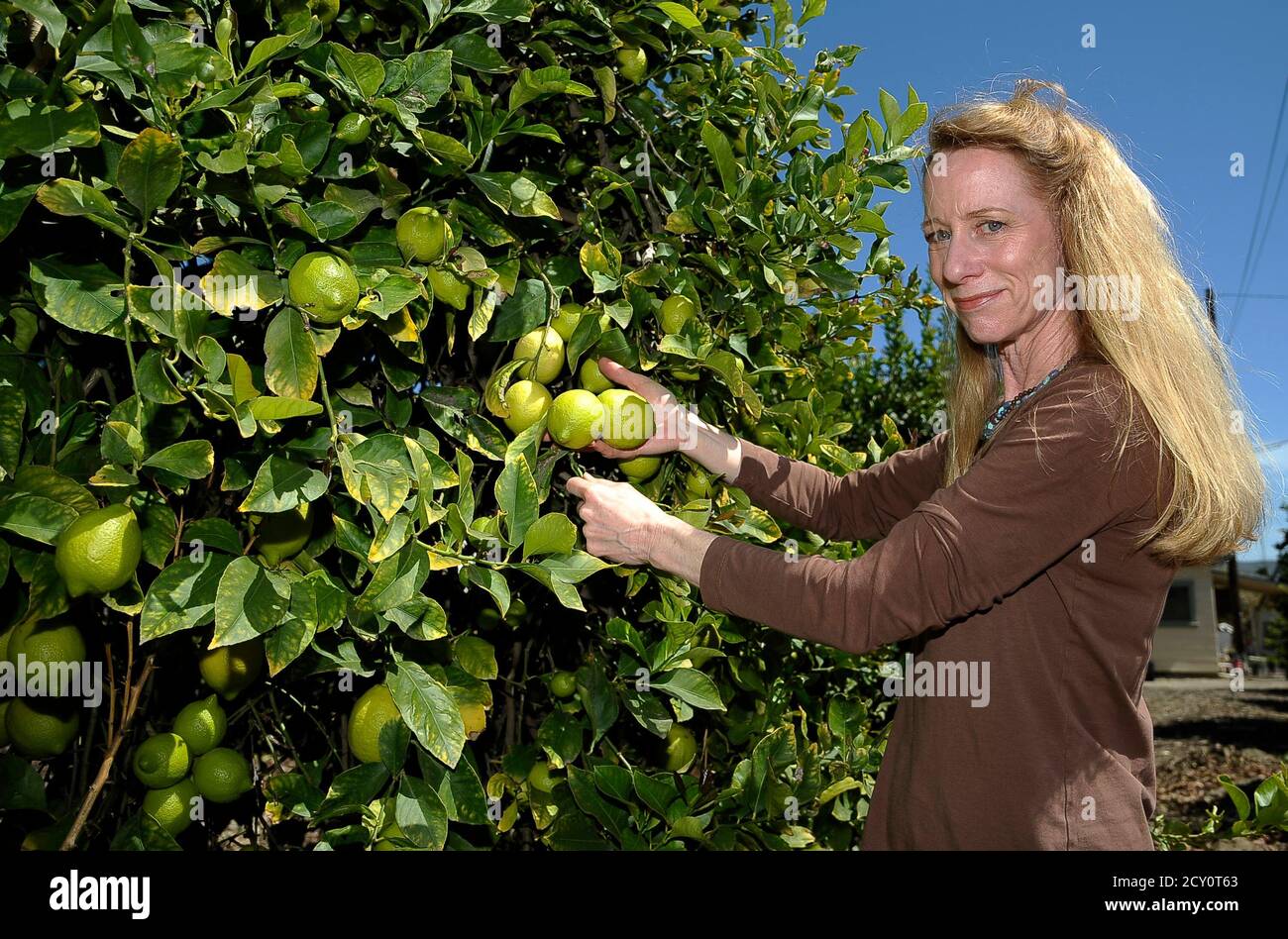 Leslie LeavensCrowe, a partner at Leavens Ranches looks over the