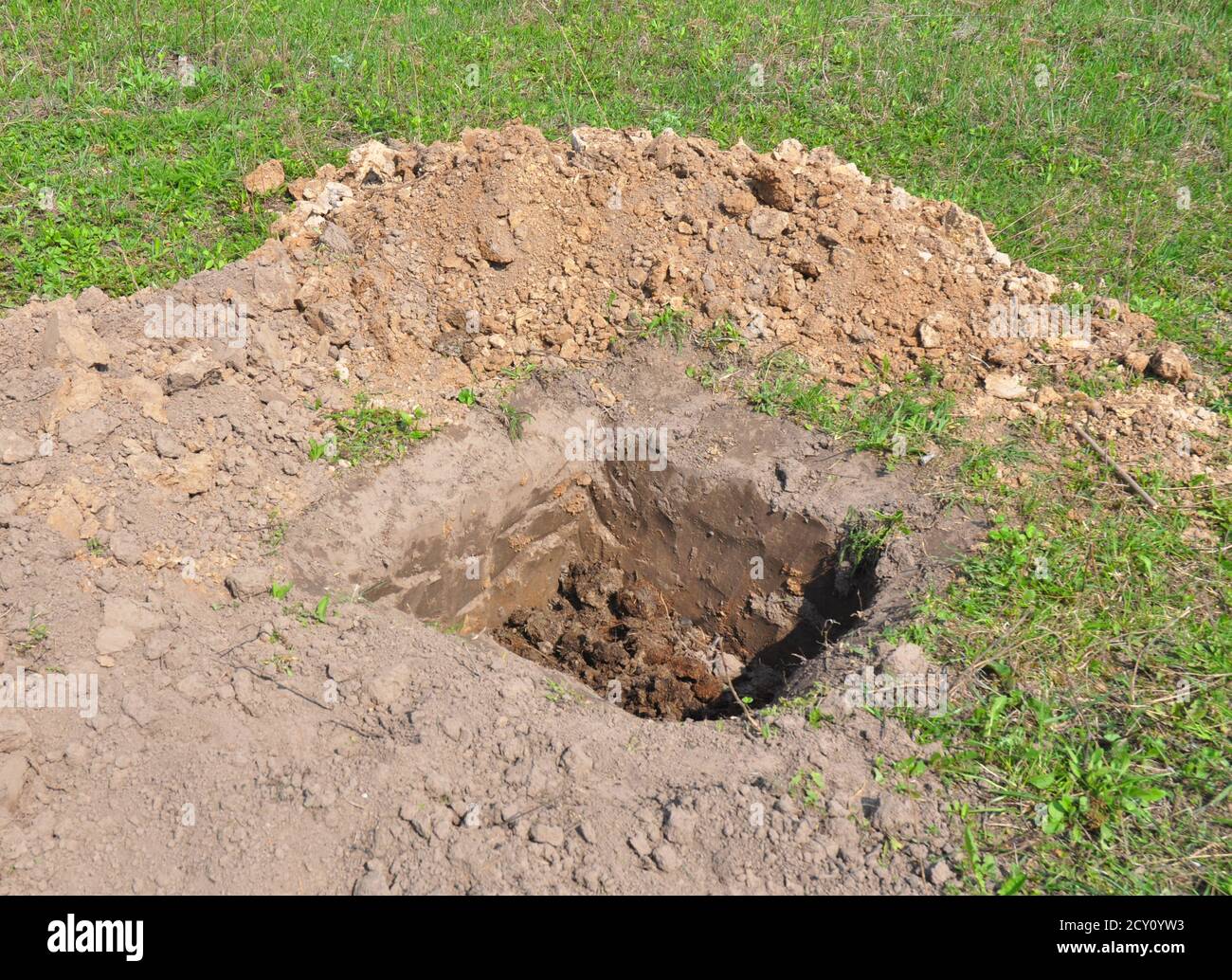 Tree organic fertilization Compost in digging hole. Organic fertilizer