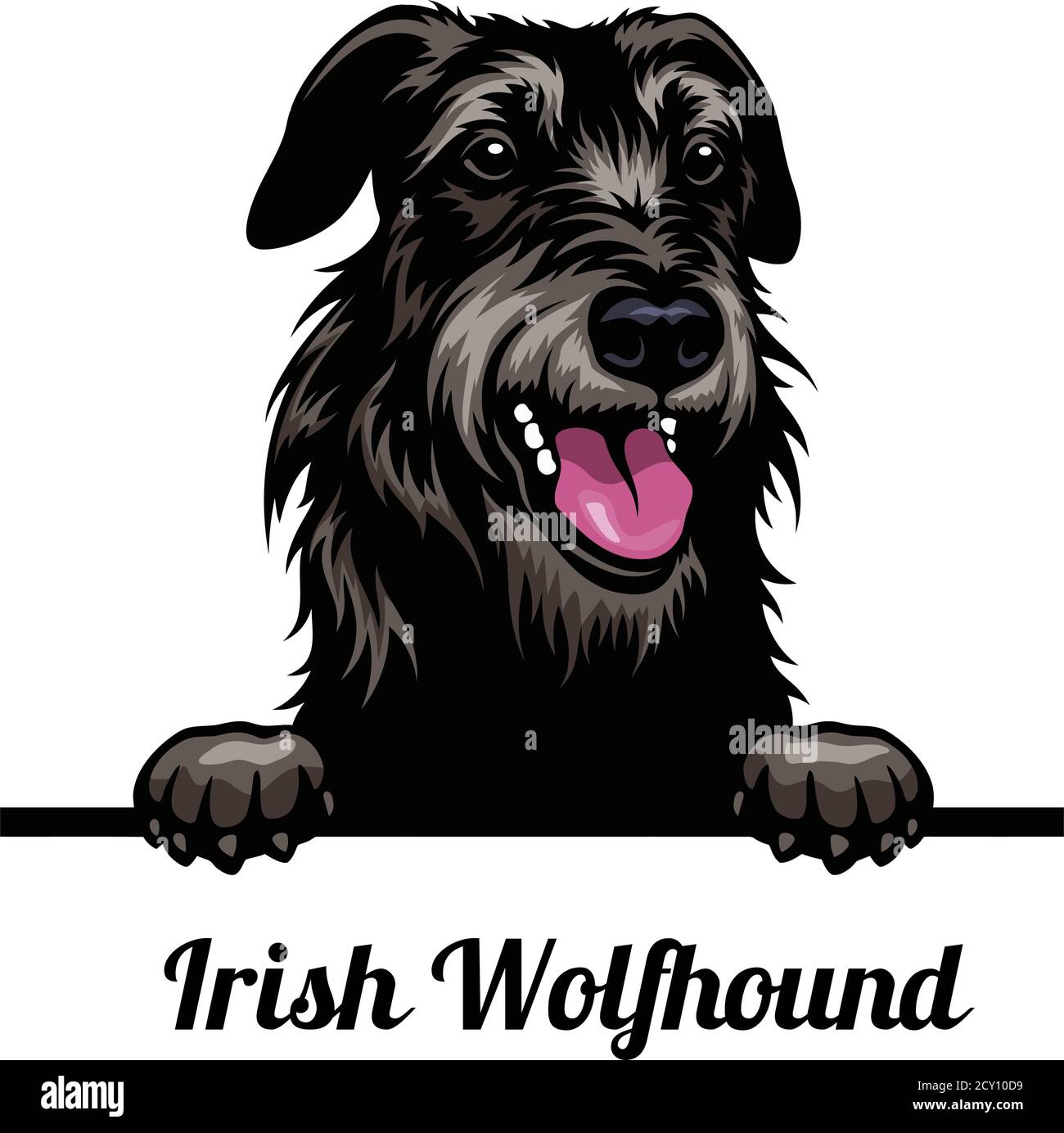 Head Irish Wolfhound - dog breed. Color image of a dogs head isolated on a white background Stock Vector