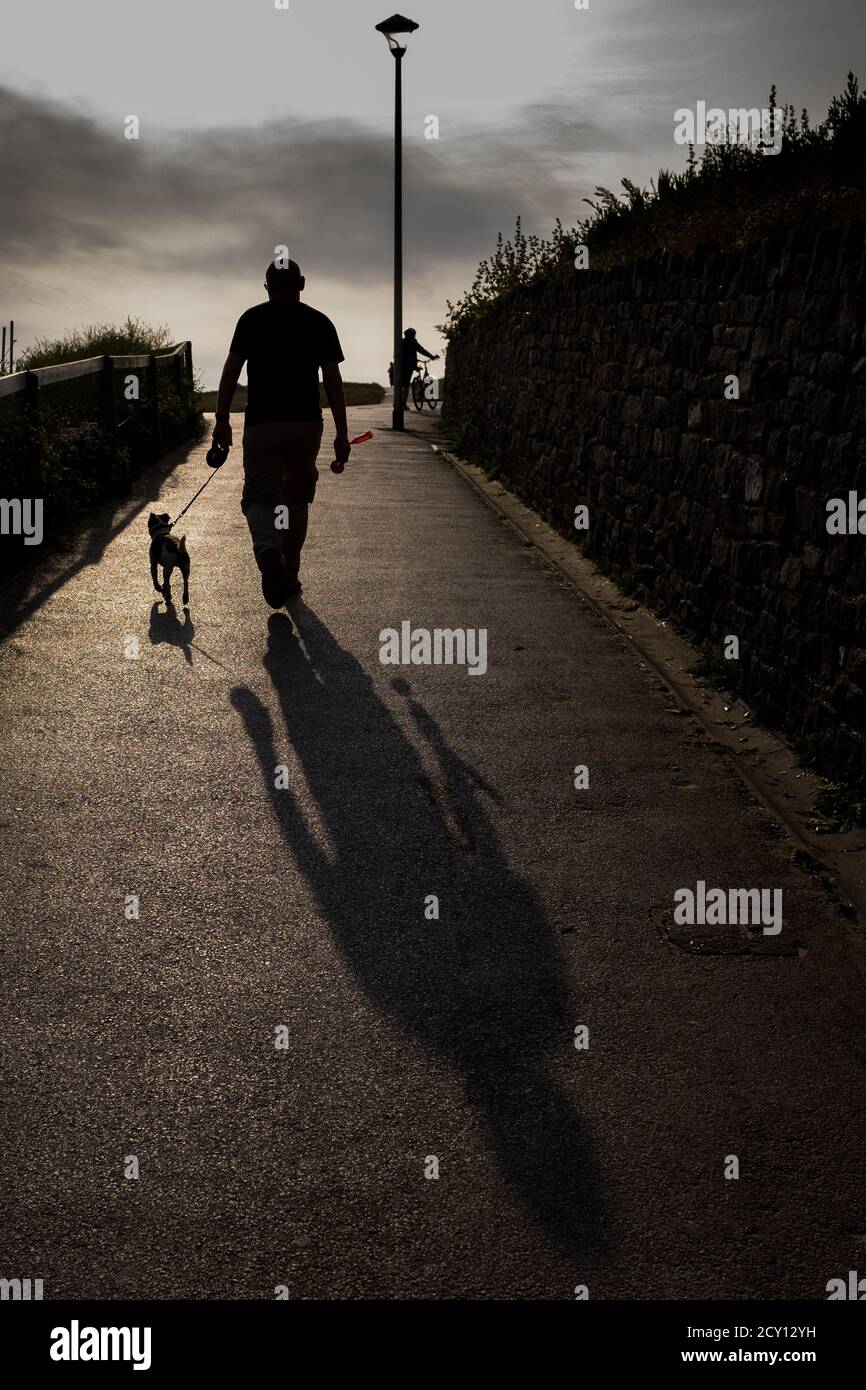 Why Does My Dog Walk Zig Zag In Front Of Me