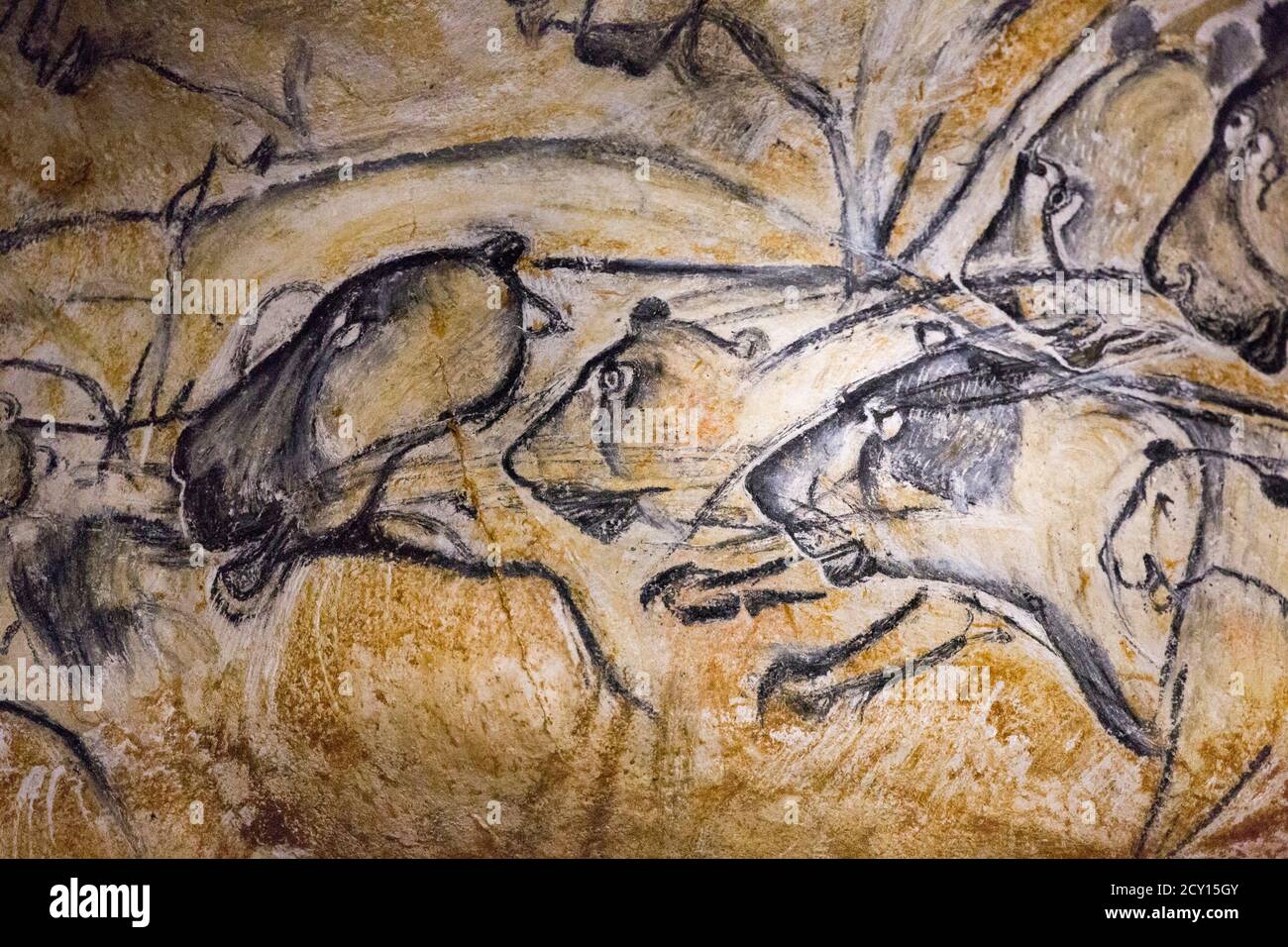 Chauvet Cave High Resolution Stock Photography And Images Alamy