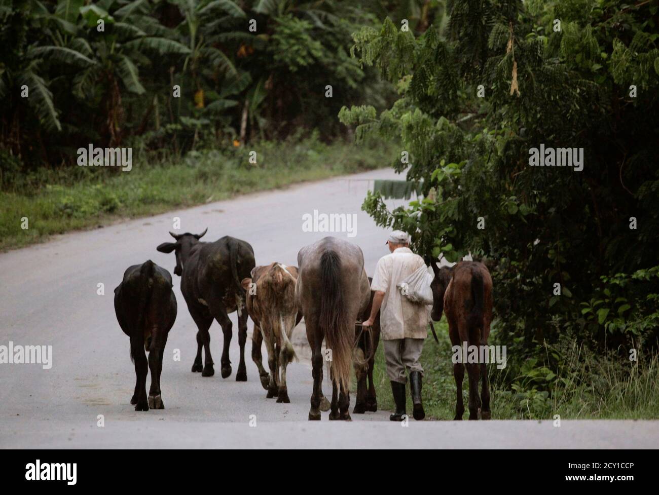 Bienvenido a cuba hires stock photography and images Alamy