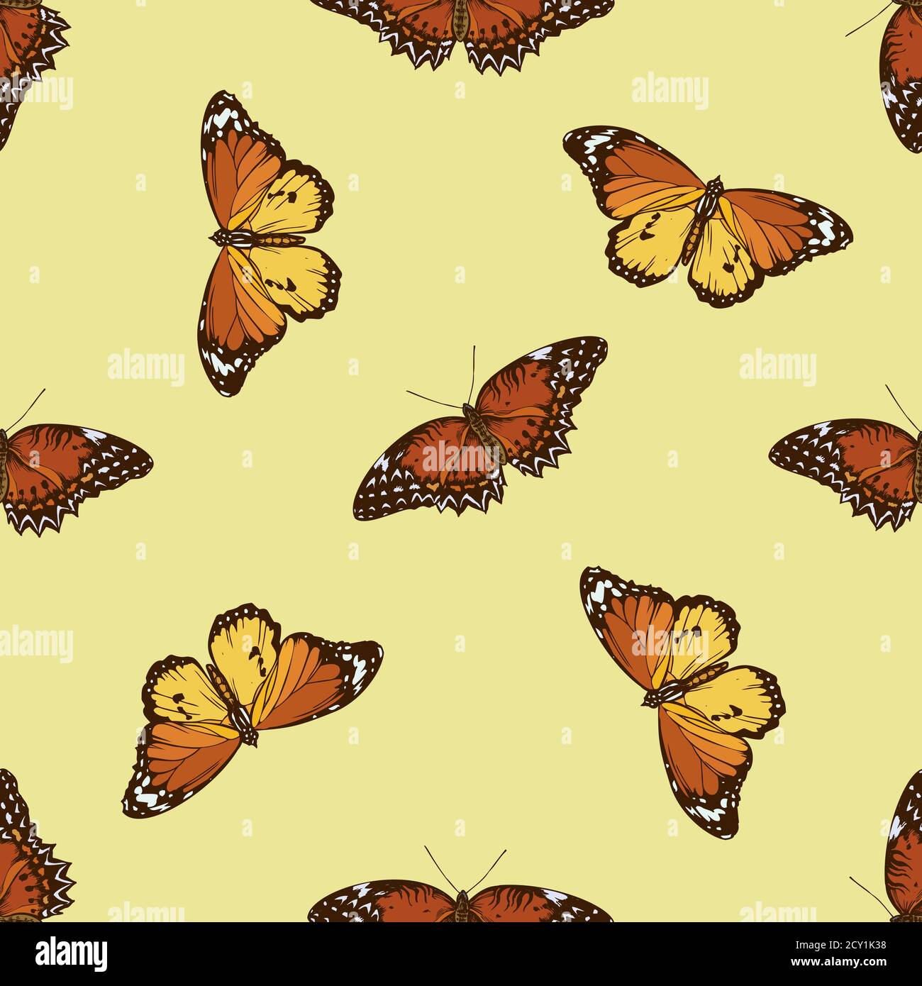 Monarch Pattern Monarch Butterfly Flight Pattern