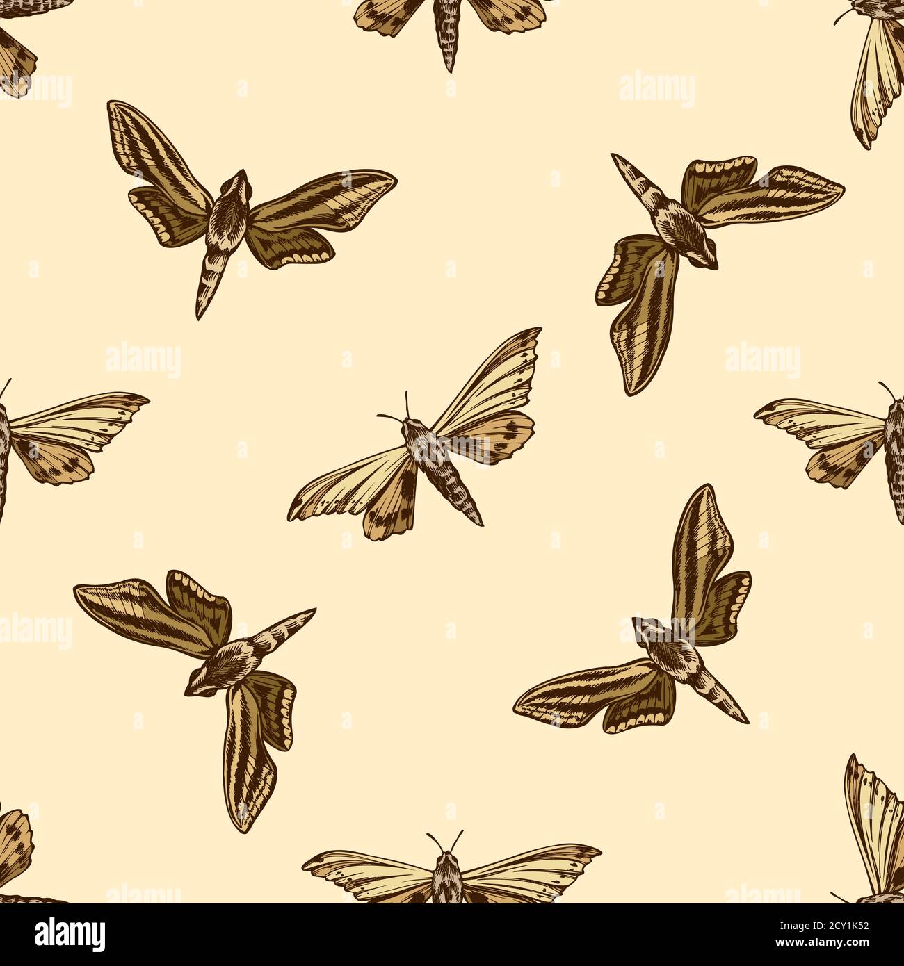 Seamless pattern with hand drawn colored ambulyx moth, white-banded hunter hawkmoth Stock Vector