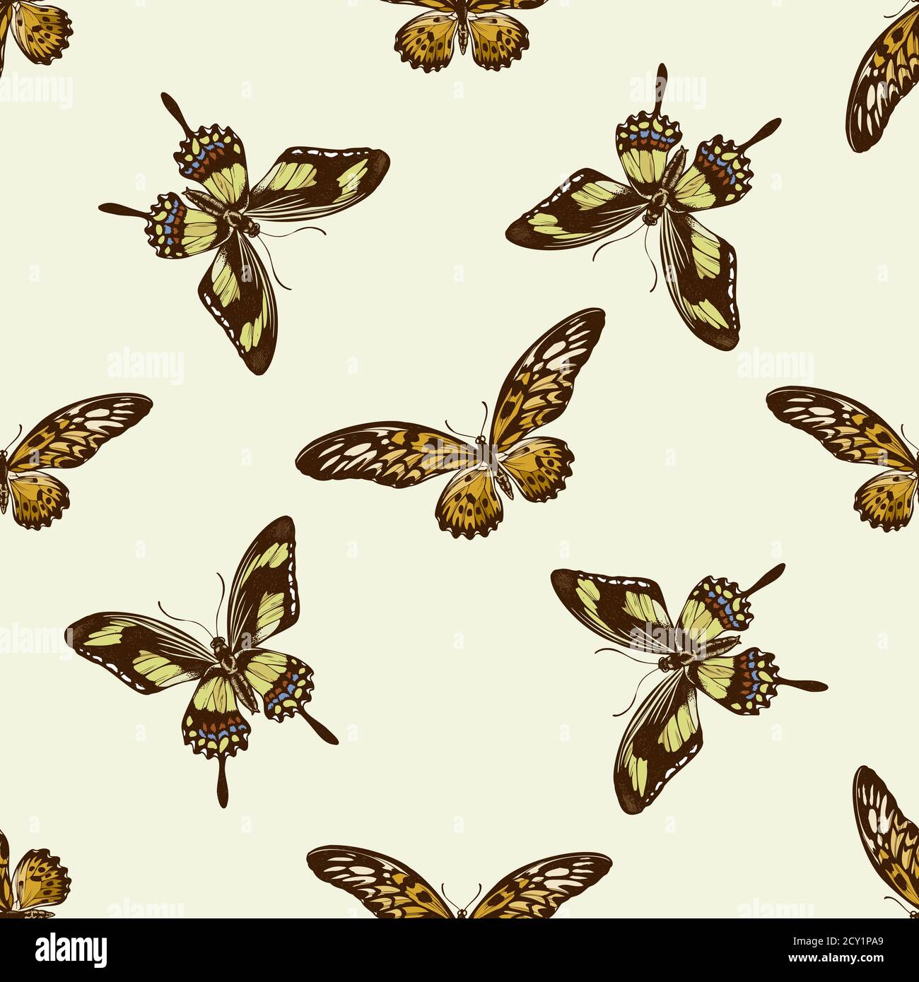 Seamless pattern with hand drawn colored african giant swallowtail, papilio torquatus Stock Vector