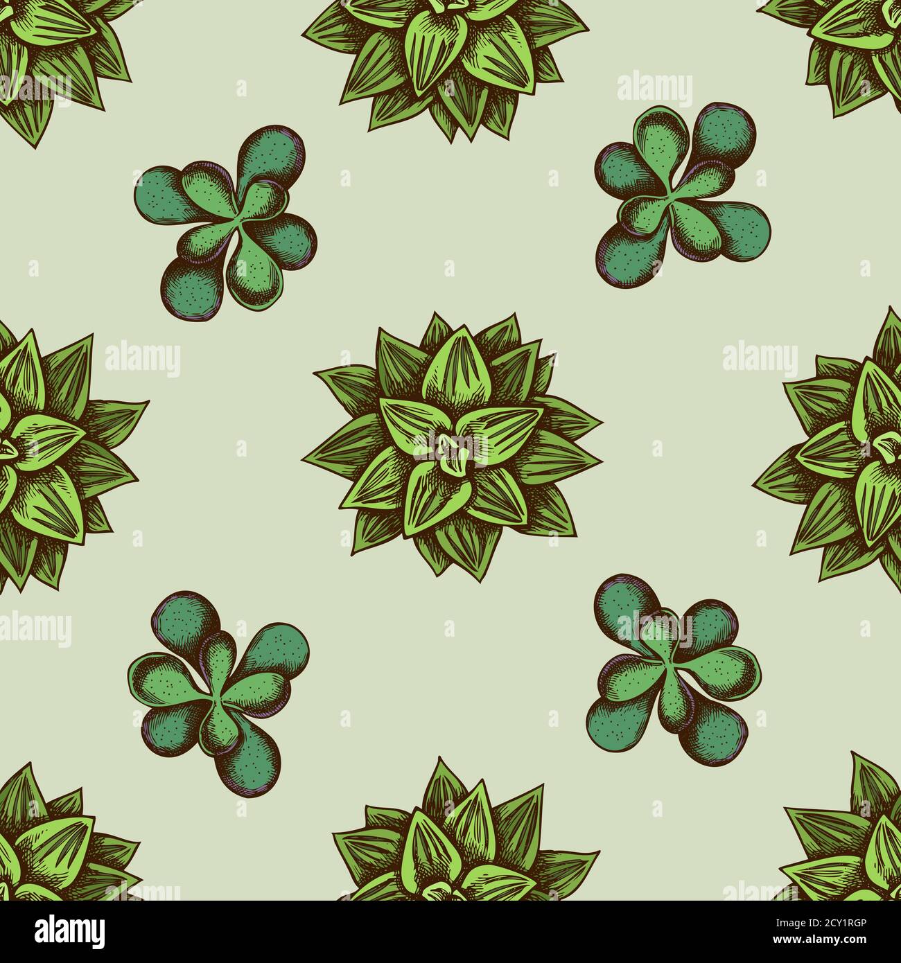 Seamless pattern with hand drawn colored succulent Stock Vector Image ...