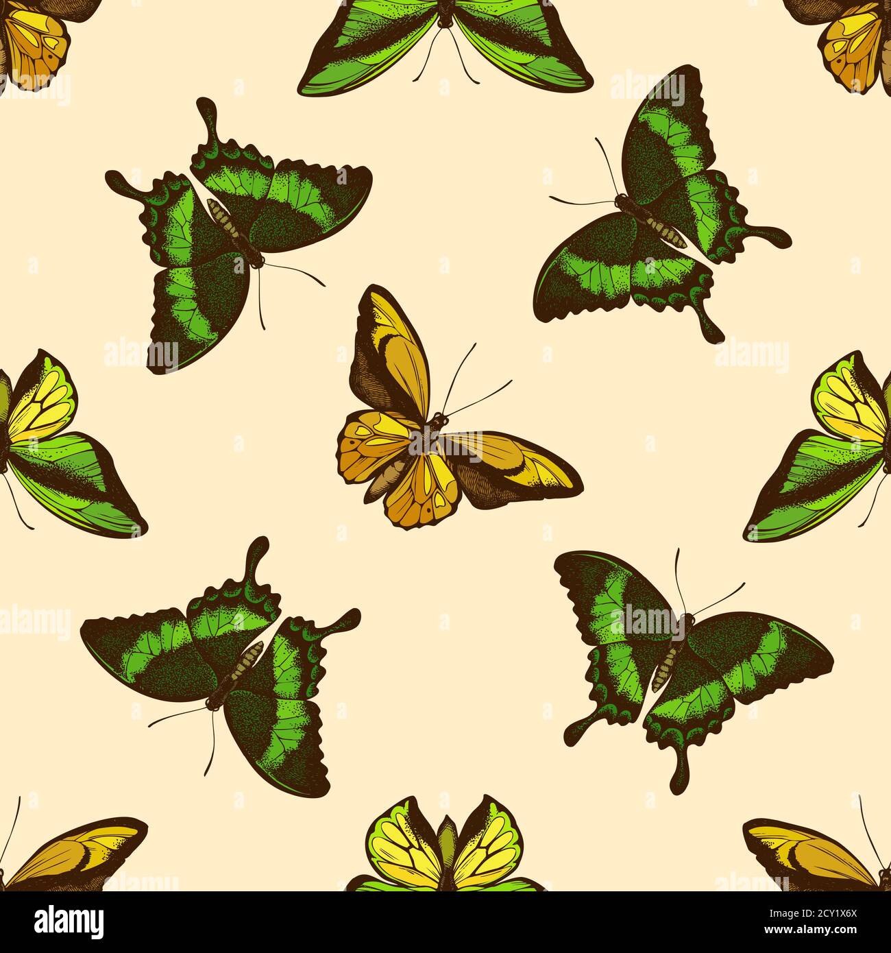 Seamless pattern with hand drawn colored wallace s golden birdwing, emerald swallowtail, swallowtail butterfly Stock Vector