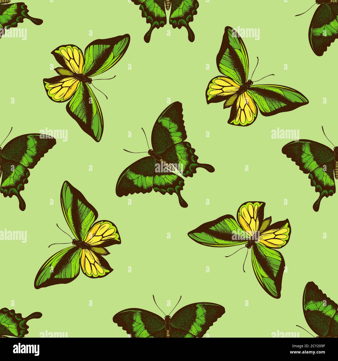 Seamless pattern with hand drawn colored emerald swallowtail, swallowtail butterfly Stock Vector