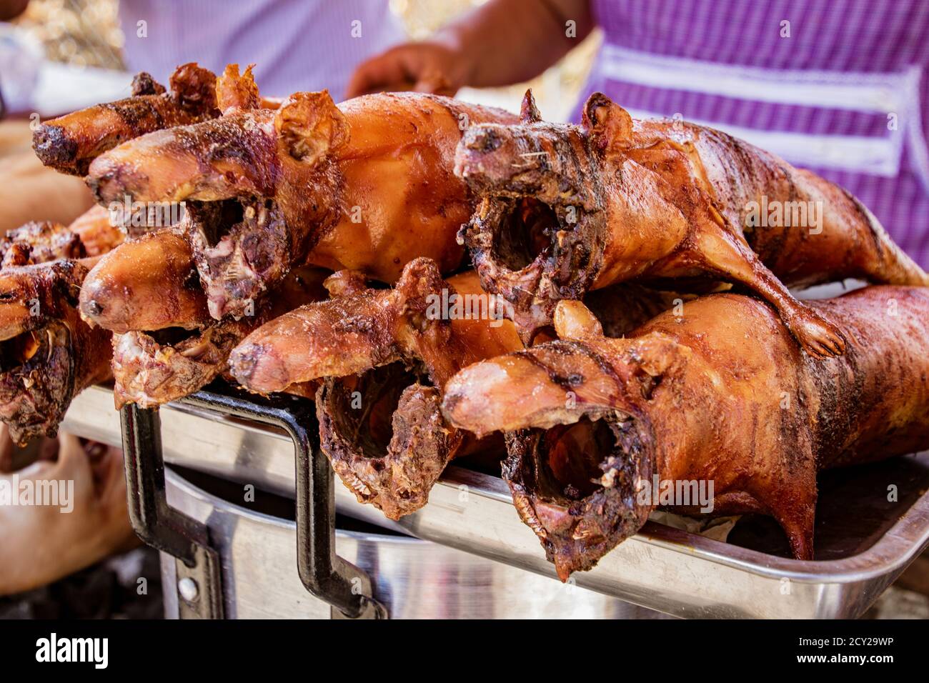 Cuy guinea pig roasted and ready to eat as a delicacy in Ecuador Stock Photo