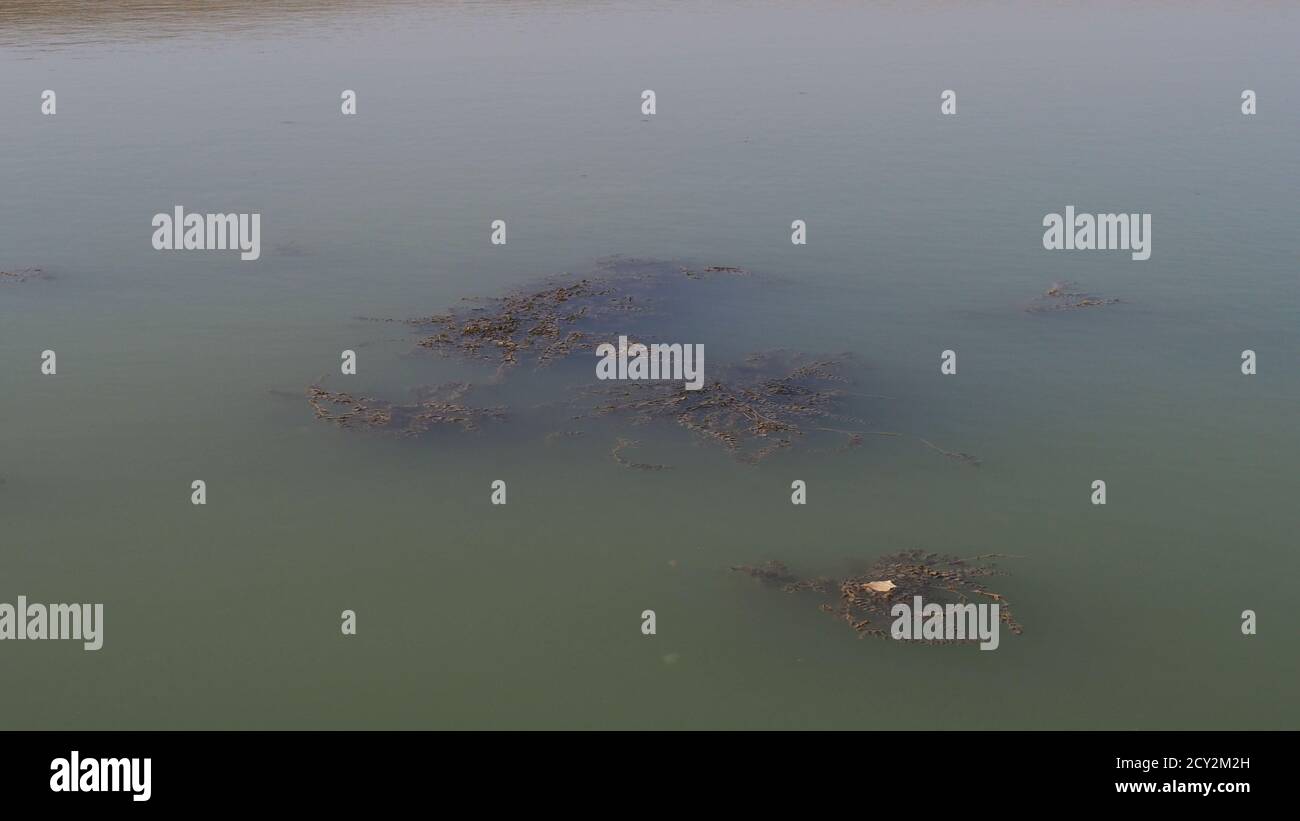 murky lake water dirty, dirty turbid water caused by drought Stock