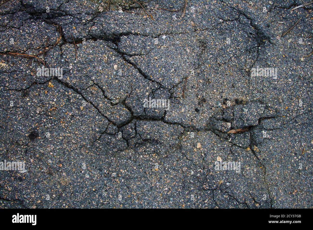 Cracked asphalt. Bad asphalt road in the park Stock Photo Alamy