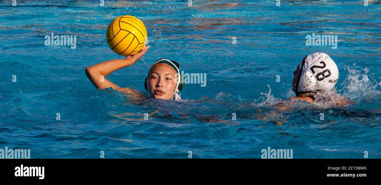 Water polo player prepares to throw ball in Cupertino, Calif match on