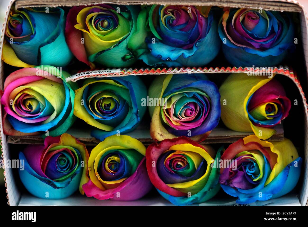 Colombian roses hi-res stock photography and images - Alamy