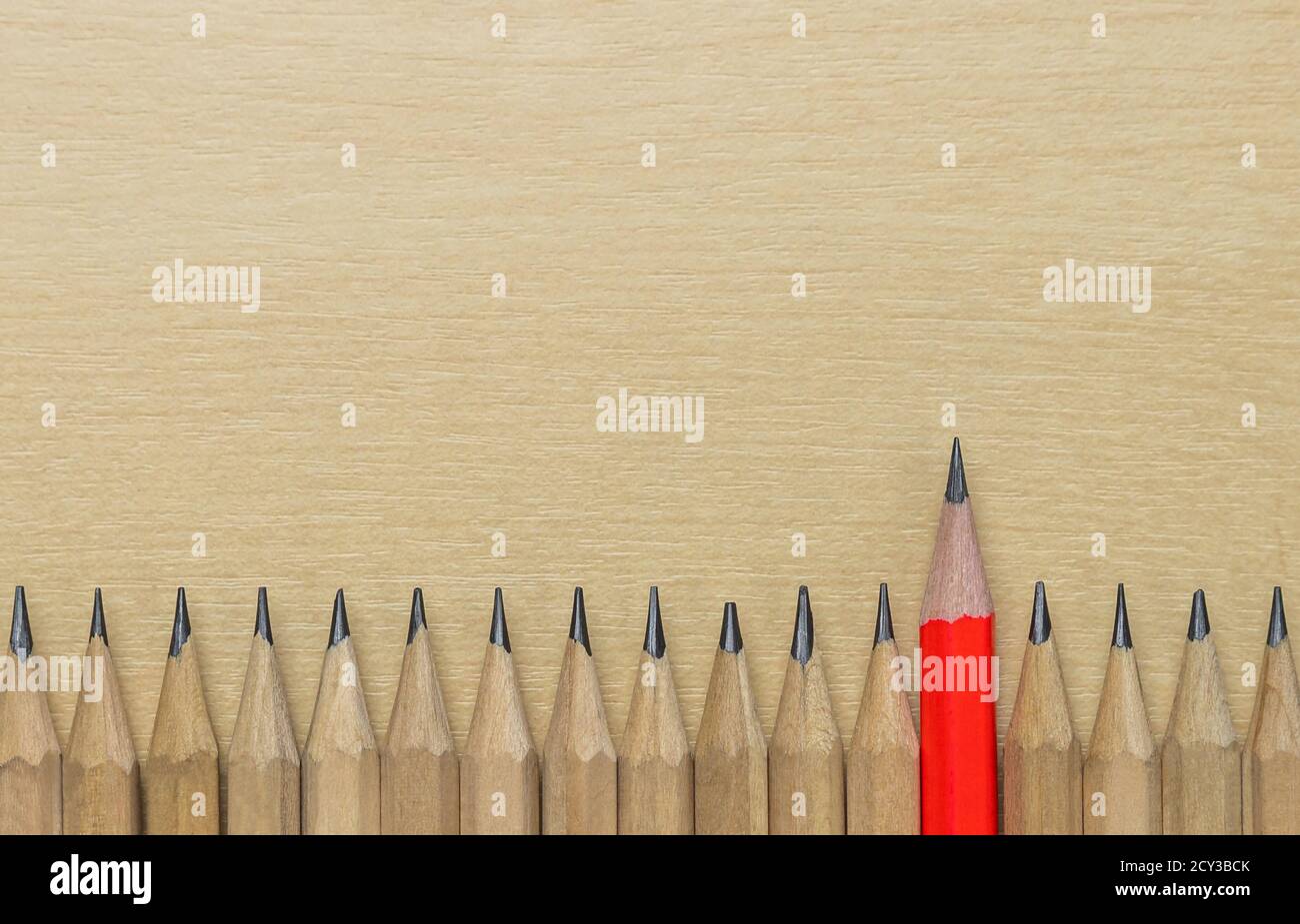 Different pencil standout from the others showing concept of unique business thinking different from the crowd and special one with leadership skill. Stock Photo