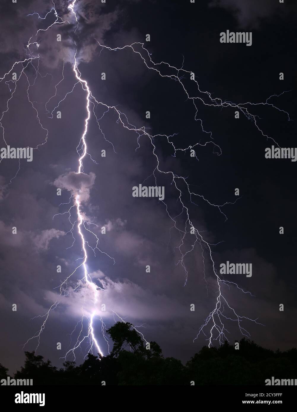 Vertical Image of Scary Real Lightning Striking over the Forest at Night Stock Photo