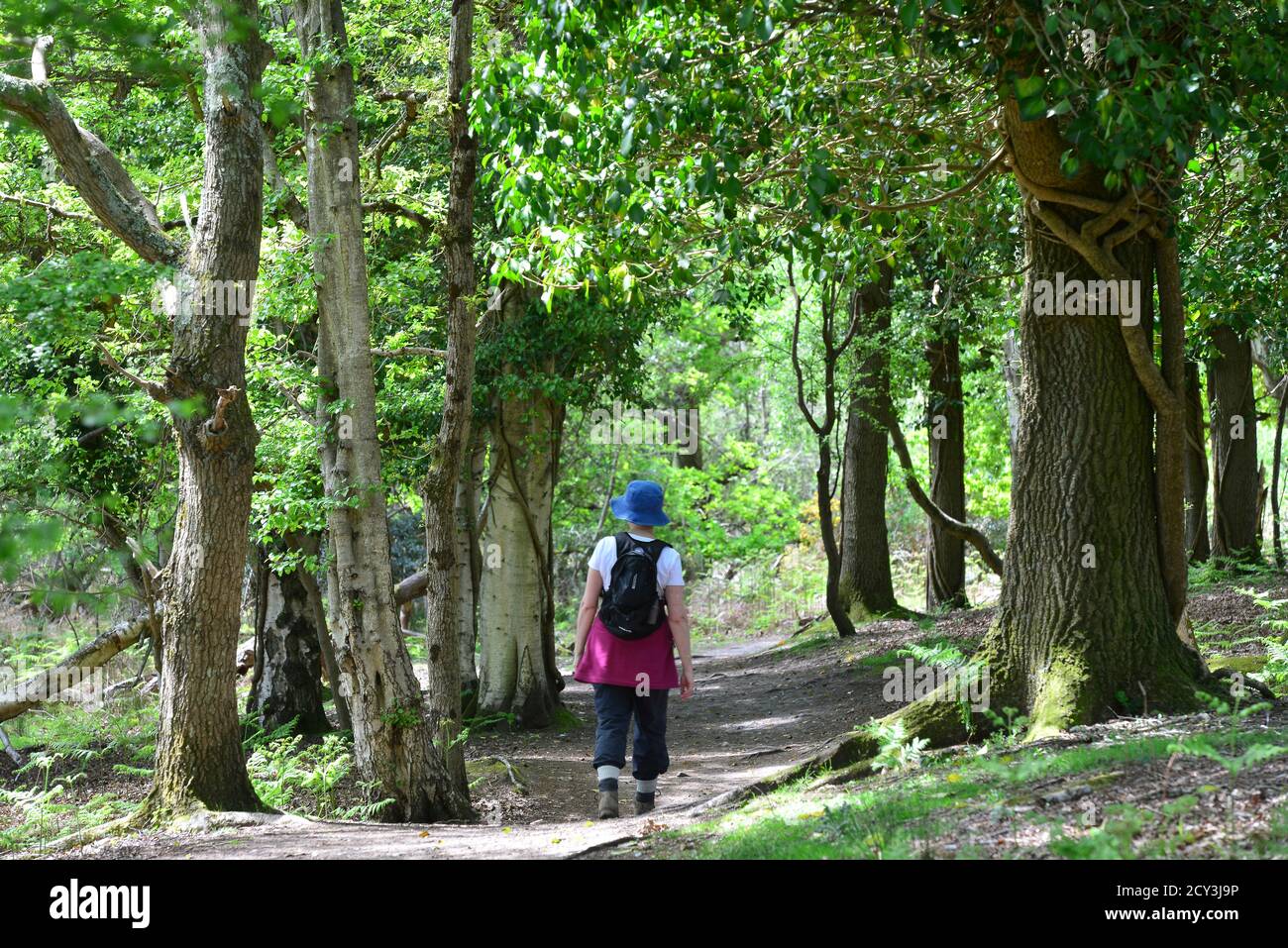 Arne peninsula hi-res stock photography and images - Alamy