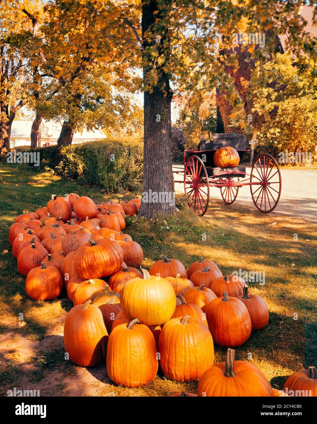 Vre001 hires stock photography and images Alamy