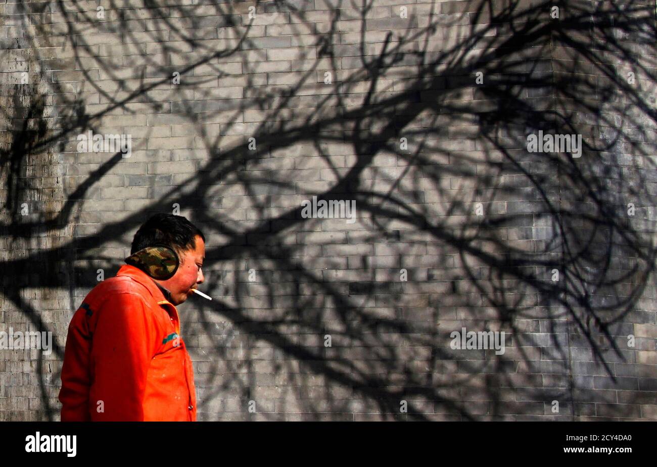 A tree casts a shadow on a wall behind a man smoking a cigarette in central Beijing December 16, 2010. In a country where 301 million people smoke, only a quarter of Chinese people believe smoking tobacco increases the risk of cancer and anti-smoking campaigns are failing to influence them, a government survey released earlier this year by the country's Centre for Disease Control and Prevention showed.     REUTERS/David Gray (CHINA - Tags: SOCIETY HEALTH) Stock Photo
