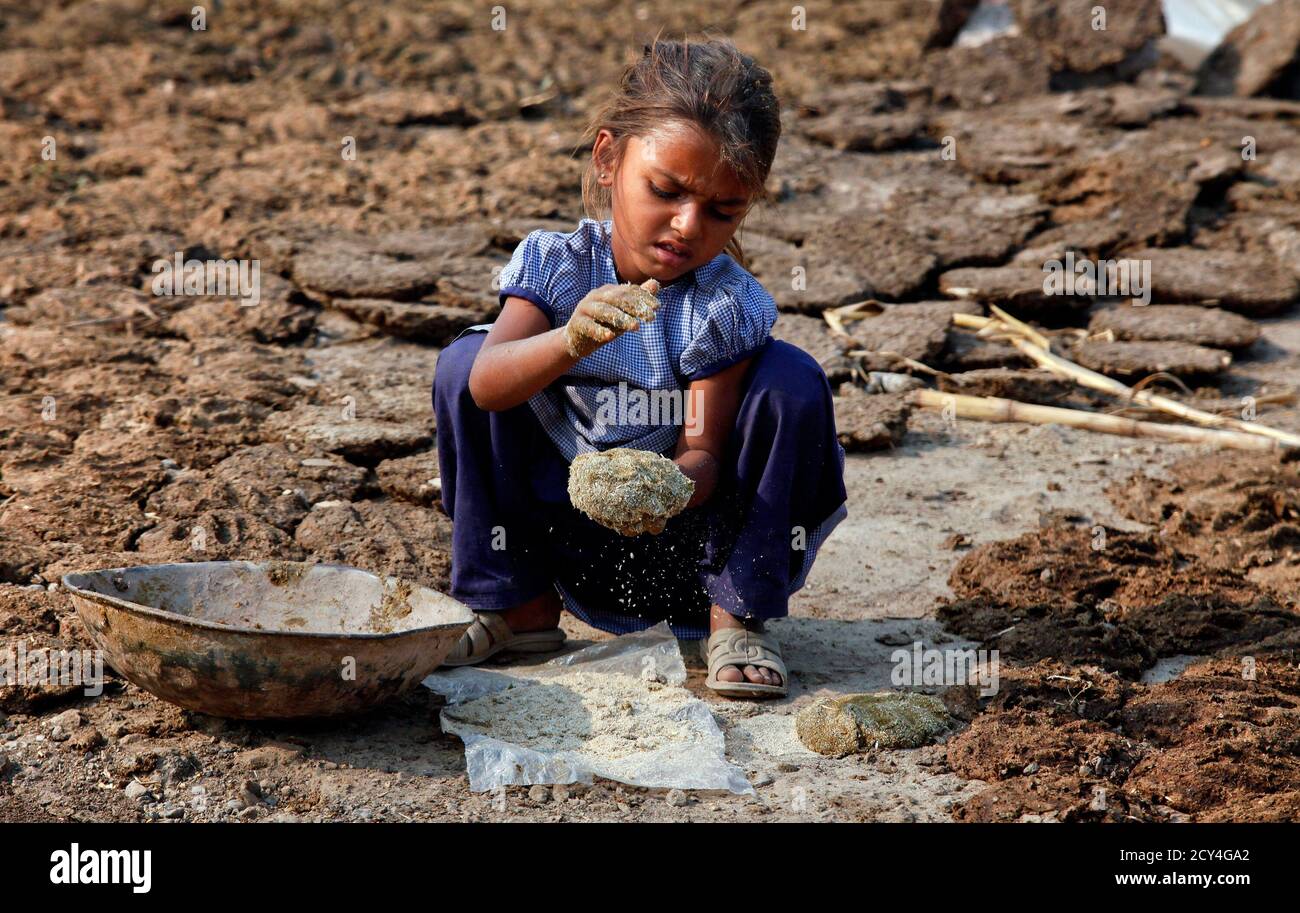 Girl with cow dung hi-res stock photography and images - Alamy