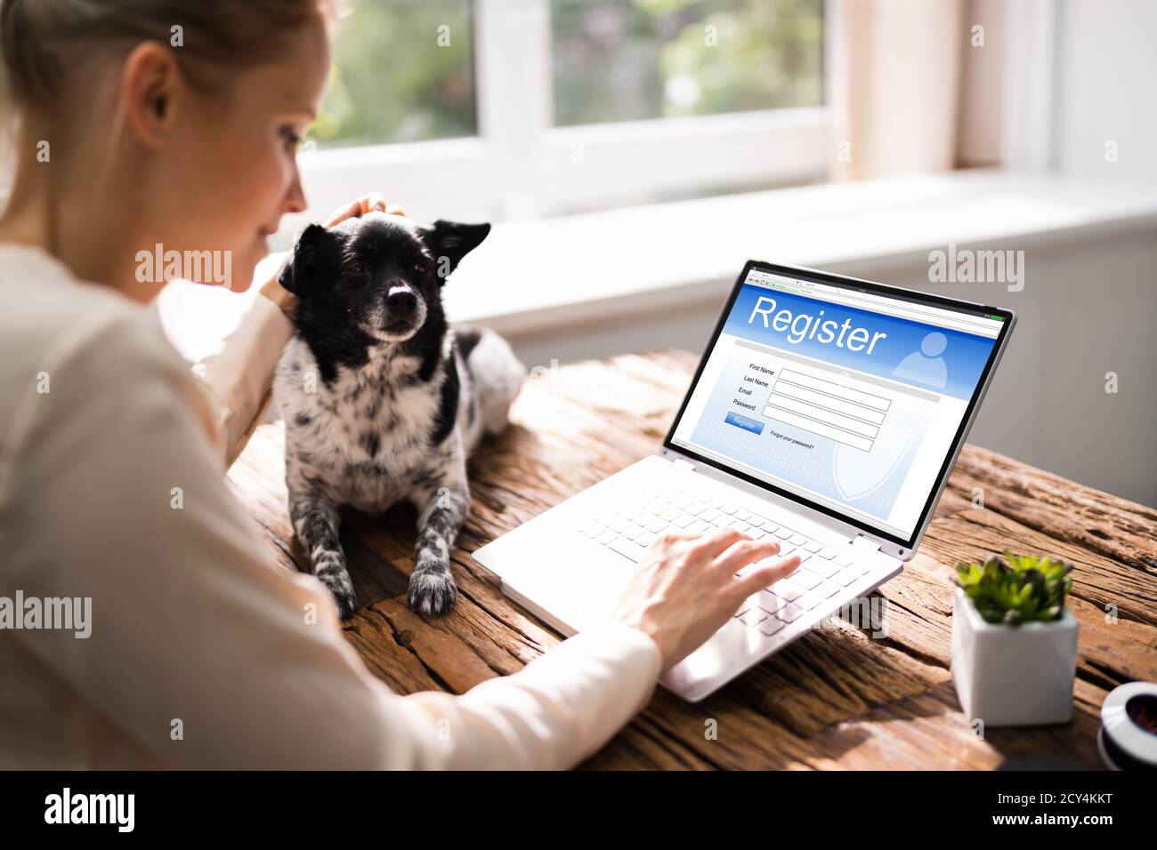 free pet registration