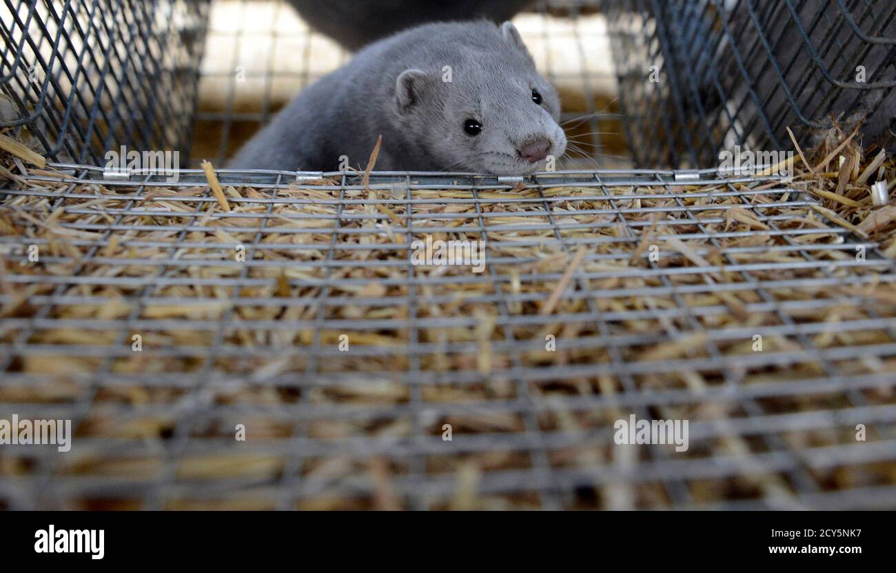 jyllinge high resolution stock photography and images alamy