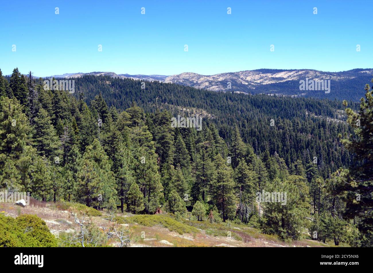 California - Highway 89 Carson Pass Stock Photo