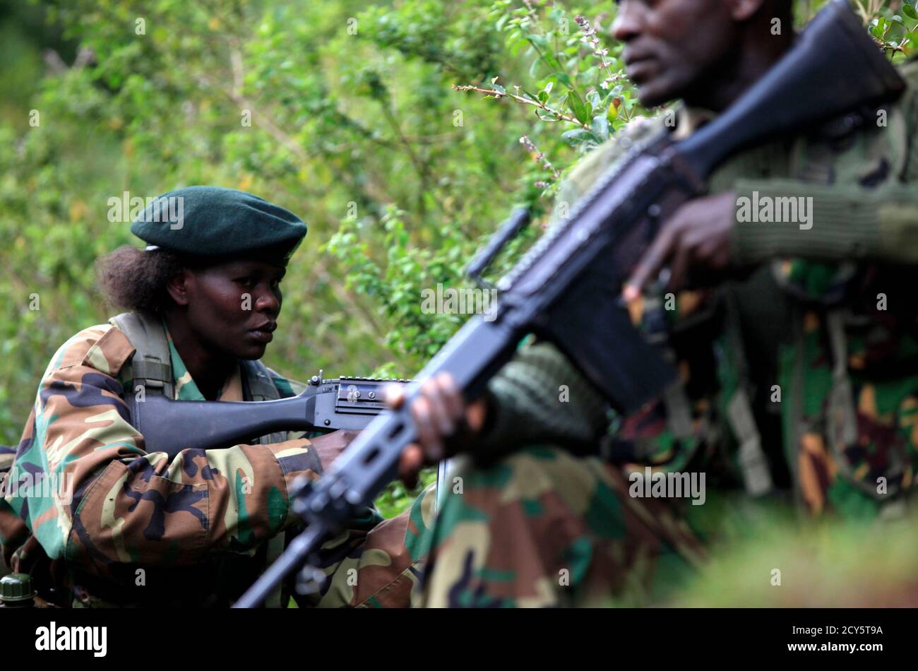 Forest ranger patrolling hires stock photography and images Alamy