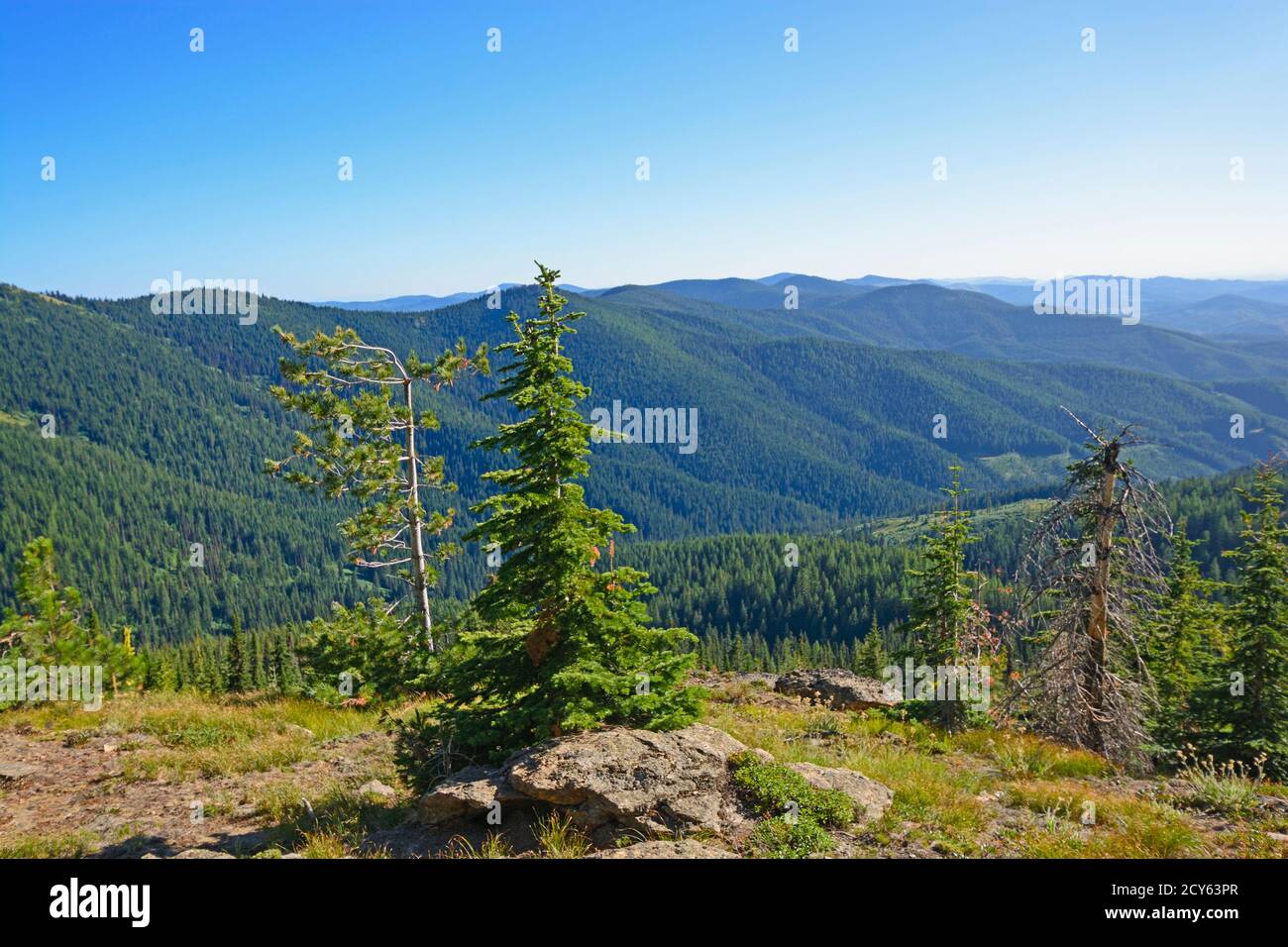 Remote Vista in the Mountains of Idaho Stock Photo