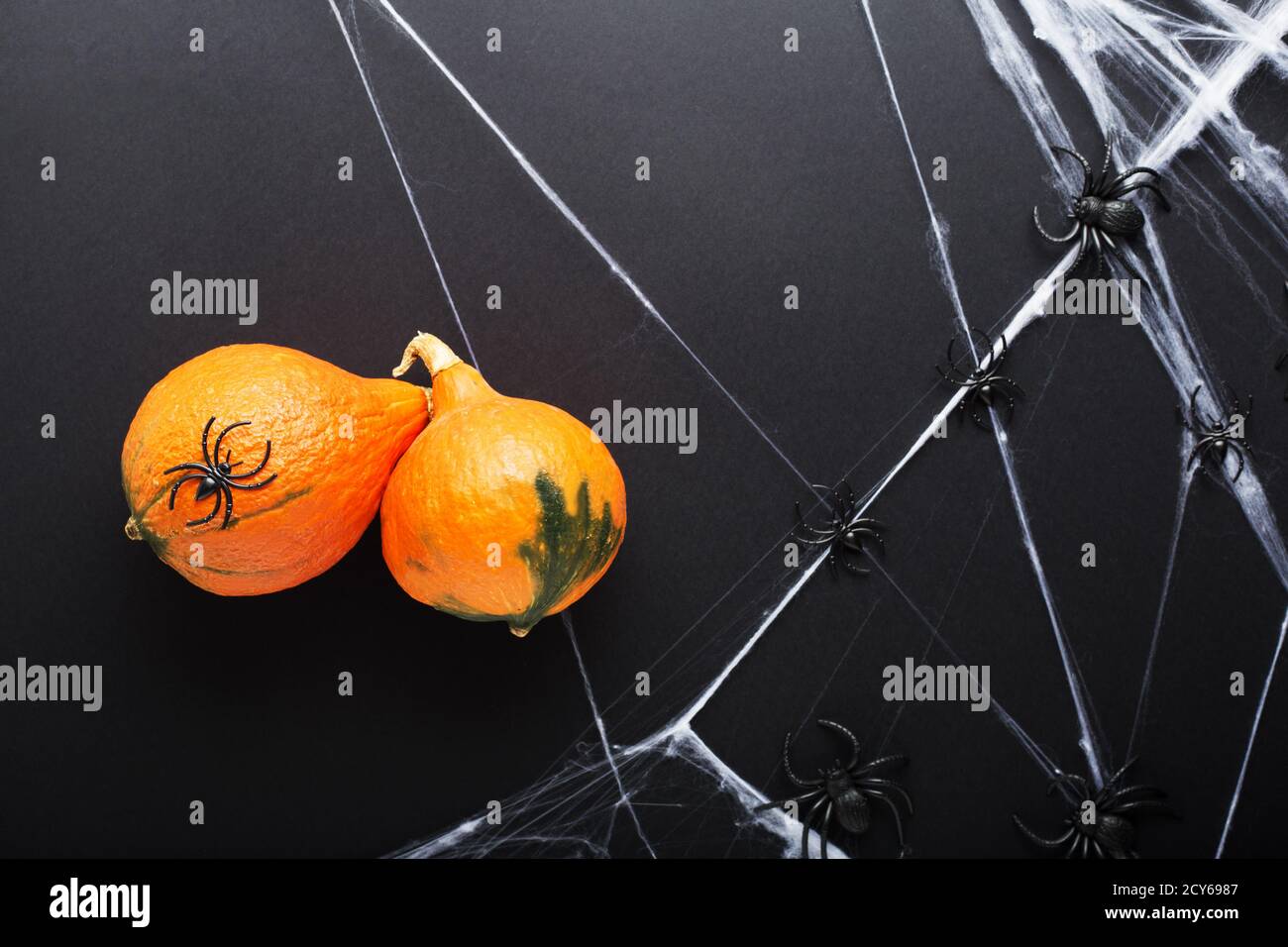 Pumpkins with spiders and spider web on black background. Halloween holiday decorations. Flat lay, top view, copy space. Stock Photo