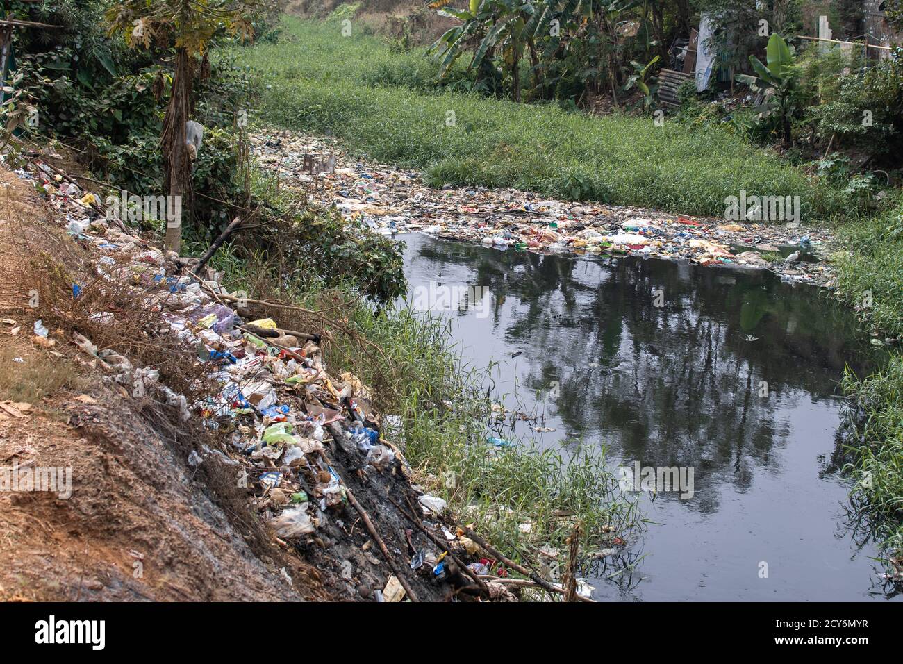 Heaps of plastic waste thrown in an overgrown river, bad for the environment in Bhubaneswar, India Stock Photo