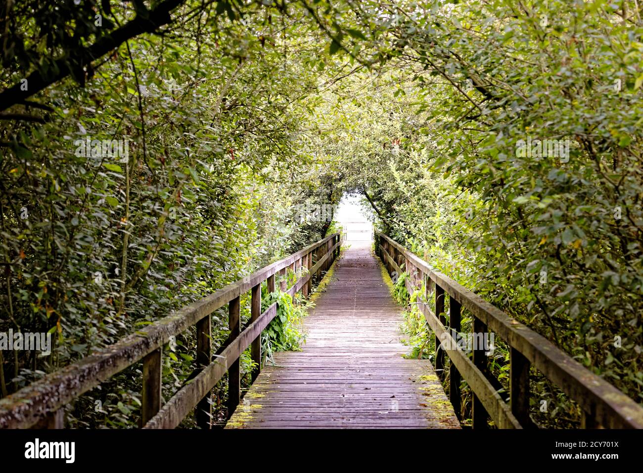 Bridge and Tunnel style,Steinhuder Meer,Low Saxony,Germany Stock Photo