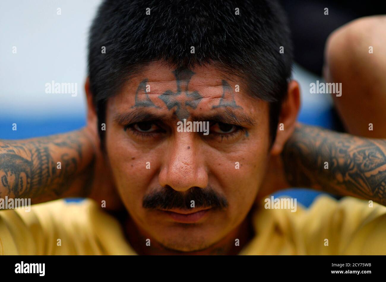 A gang member of Mara Salvatrucha (MS13) who was detained during a night raid is presented to the media in Soyapango, on the outskirts of El Salvador, June 21, 2012. At least 30 of the 160 gang members arrested during a raid late Wednesday were presented to the media by the National Civil Police (Policia Nacional Civil, PNC), local media reported. According to the government of El Salvador, since a truce was signed between MS13 and 18 gangs, daily crimes have dropped from 15 cases to five. REUTERS/Ulises Rodriguez (EL SALVADOR - Tags: CRIME LAW) Stock Photo
