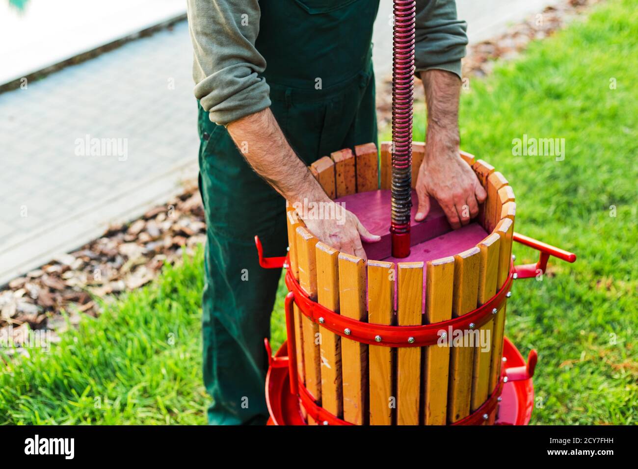 Winepress machine.Young man making wine using wooden winepress machine. Crusher on grass outdoors. Grape harvest. Concept of small craft business Stock Photo