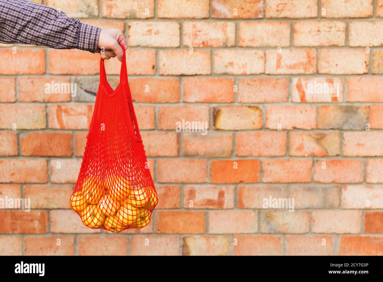 Fresh ripe organic green apples in shopping mesh bag in male hands for food or apple juice. Brick background with copy space. Zero waste, plastic free Stock Photo