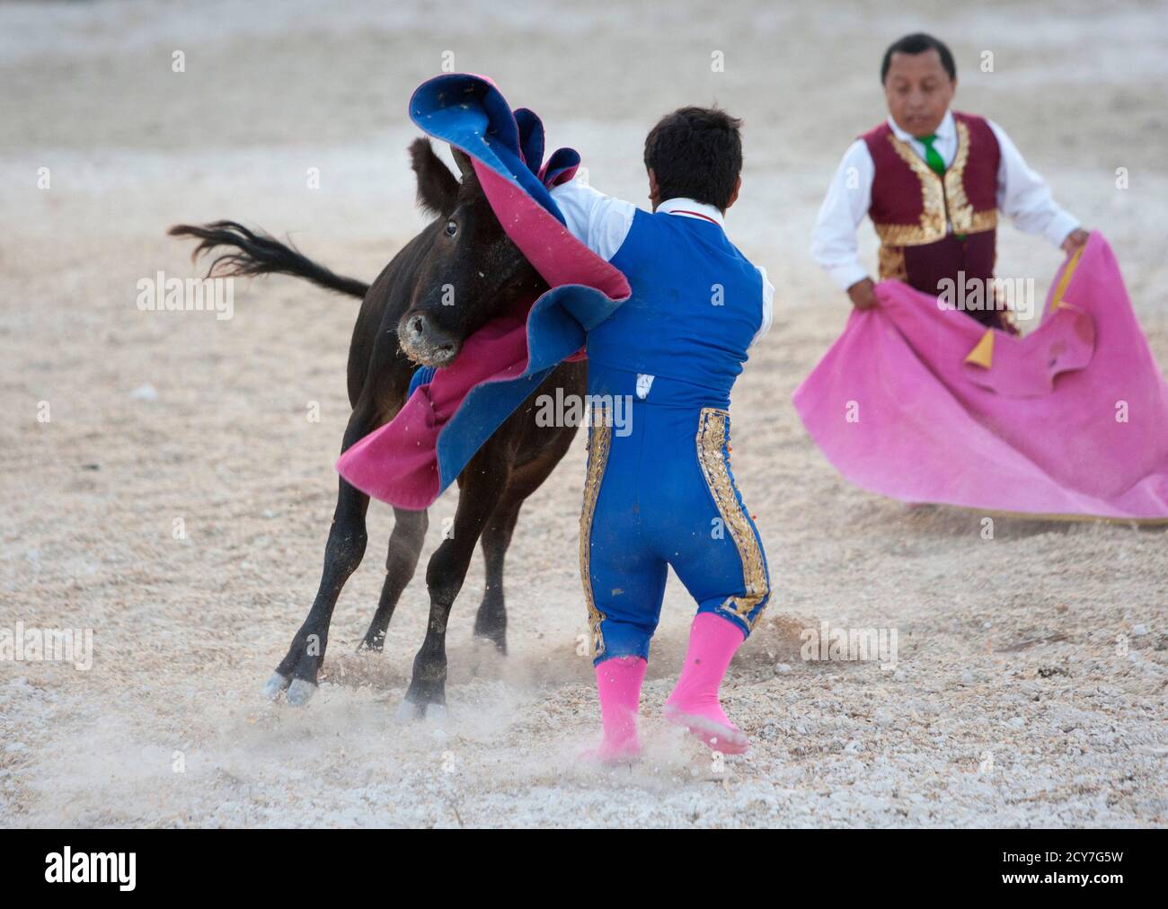 Dwarf Bullfighter Jorge Vega Front From Los Enanitos Toreros Dwarf Bullfighters Performs A Pass To A Calf In Cancun May 29 11 The Enanitos Toreros Are A Group Of Six Comedians From