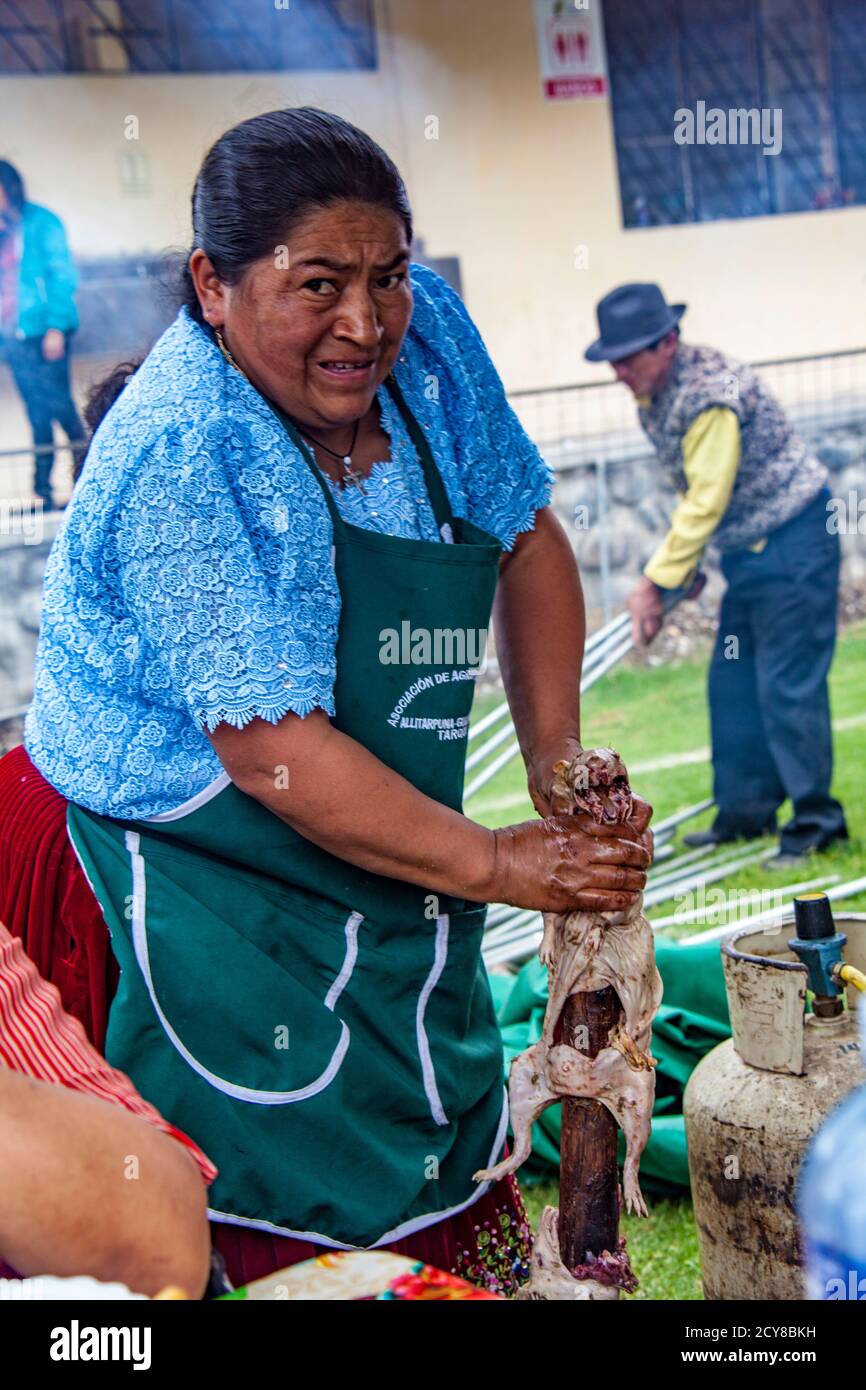 Tarqui, Ecuador - October 4, 2015 - Woman prepares a cuy guinea pig for BBQ at an outdoor festival Stock Photo