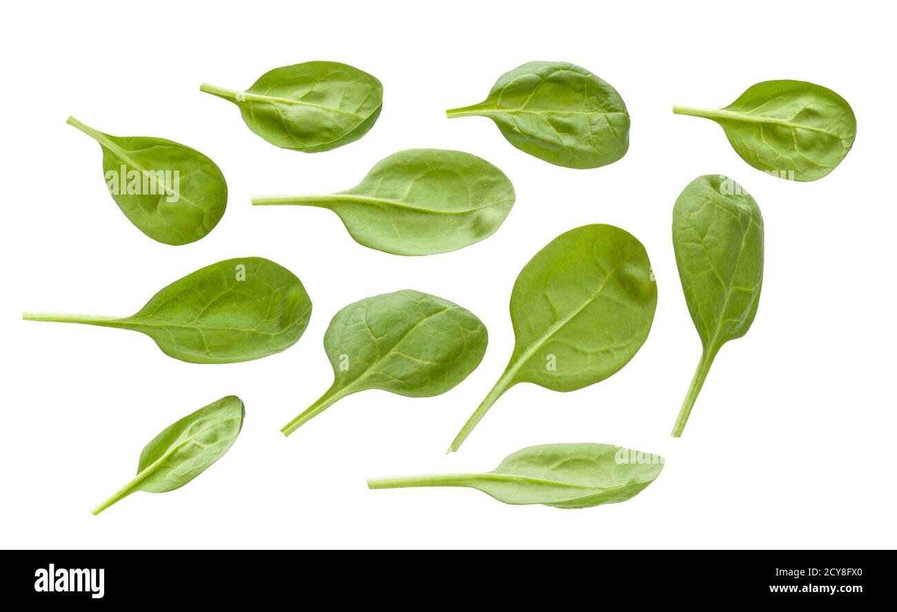 Spinach leaves isolated on a white background Stock Photo - Alamy