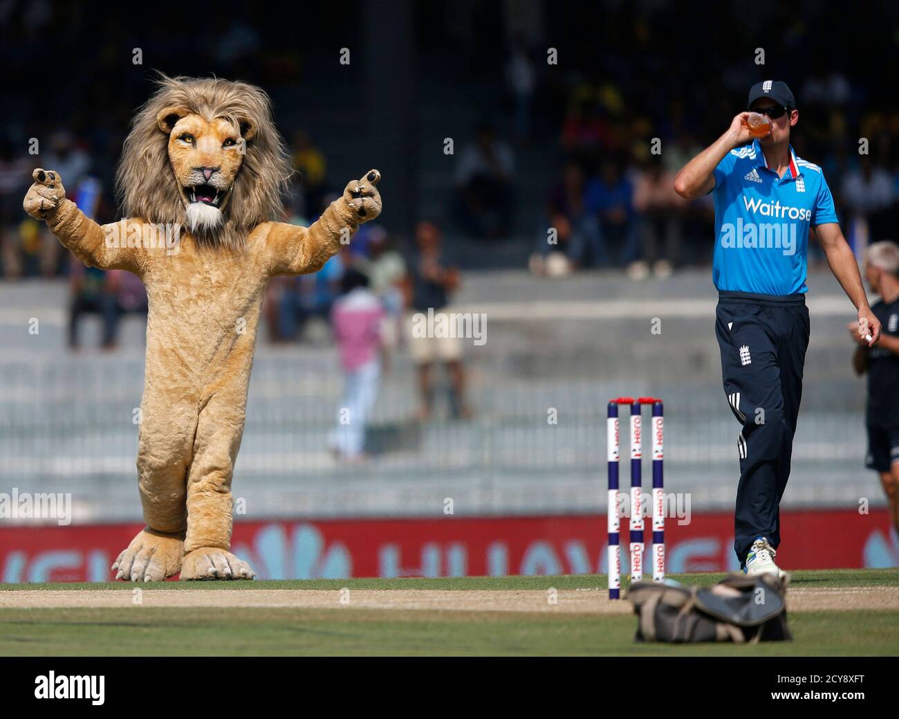 Cricket costume hires stock photography and images Alamy