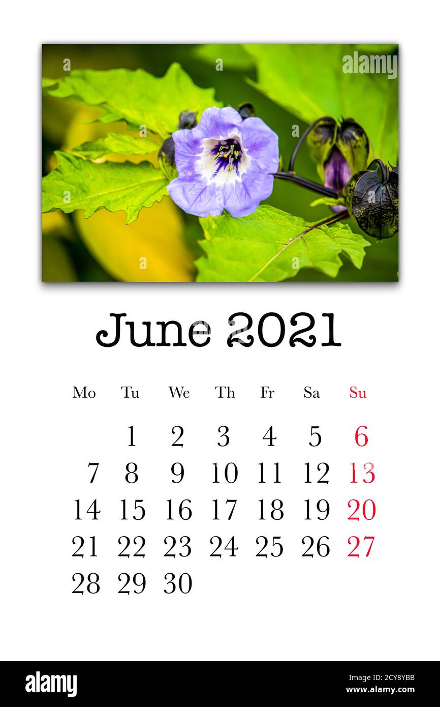 Calendar card for the month of june 2021 stock photo alamy